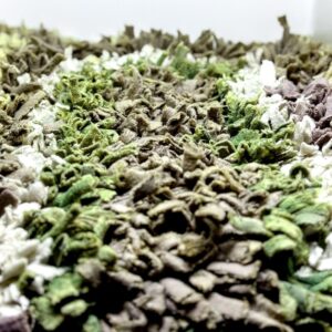 Alfombra olfativa para perros