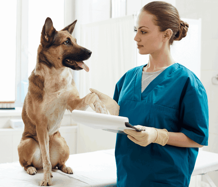 Diseno-sin-titulo-15-720×620