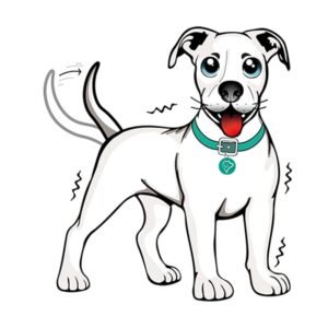 Educacion-y-Adiestramiento-Canino-Individual