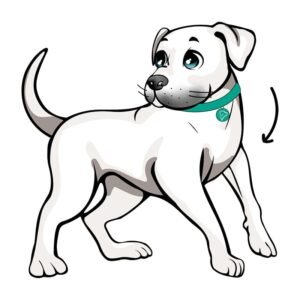 Hora de Paseo para Perros Reactivos