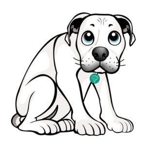 Sesión Individual para Perro Reactivo, con Miedos o Fobias en Escuela Selva