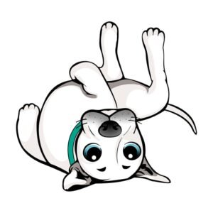 Sesión de Enriquecimiento Ambiental