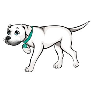 Sesión de Socialización para Cachorros