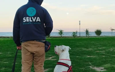 curso-educador-canino-escuela-selva-portada